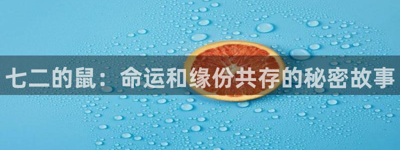 壹号大舞台下载：七二的鼠：命运和缘份共存的秘密故事