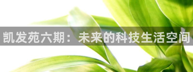 BB贝博艾弗森电子游戏网页版：凯发苑六期：未来的科技生活空间