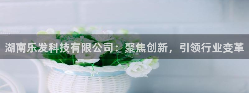 BB贝博艾弗森官网：湖南乐发科技有限公司：聚焦创新，引领行业变革