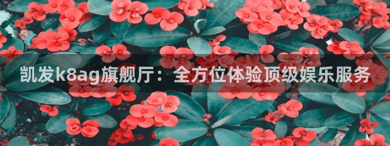 壹号大舞台