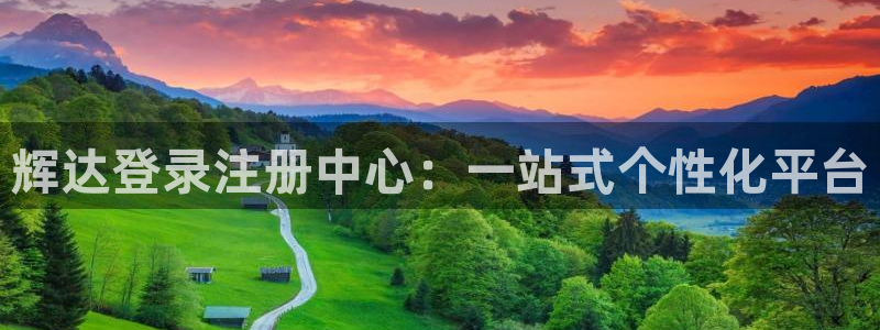 BB贝博艾弗森游戏试玩：辉达登录注册中心：一站式个性化平台