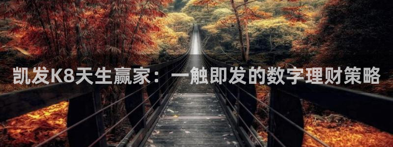 bb贝博艾弗森平台：凯发K8天生赢家：一触即发的数字理财策略