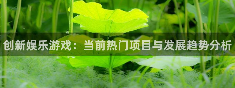 壹号app官网：创新娱乐游戏：当前热门项目与发展趋势分析
