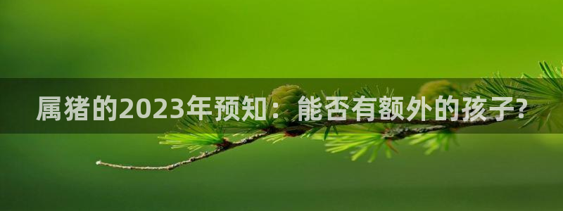 BB贝博艾弗森平台注册：属猪的2023年预知：能否有额外的孩子?