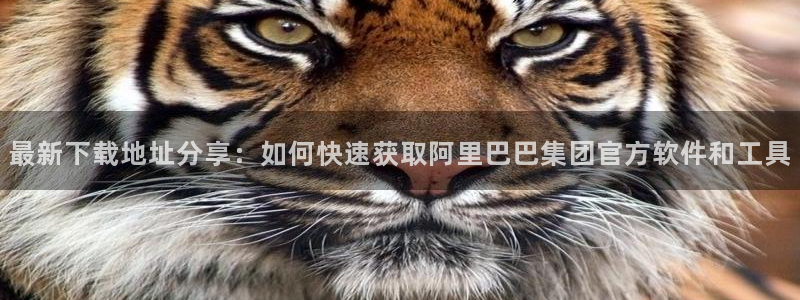 bb贝博艾弗森原官方网站：最新下载地址分享：如何快速获取阿里巴巴集团官方软件和工具
