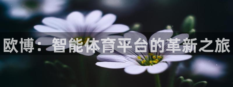 BB贝博艾弗森注册网站链接：欧博：智能体育平台的革新之旅