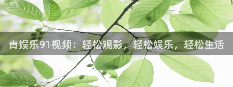 贝博bb艾弗森平台：青娱乐91视频：轻松观影，轻松娱乐，轻松生活