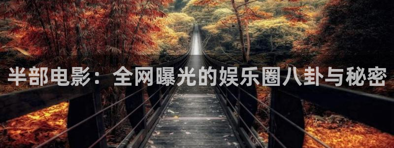 BB贝博艾弗森吧：半部电影：全网曝光的娱乐圈八卦与秘密