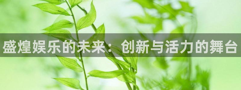 BB贝博艾弗森下载地址：盛煌娱乐的未来：创新与活力的舞台