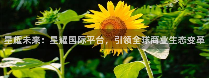 BB贝博艾弗森强制退款流程详解：星耀未来：星耀国际平台，引领全球商业生态变革