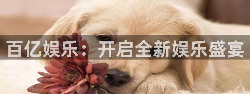 壹号大舞台怎么下载