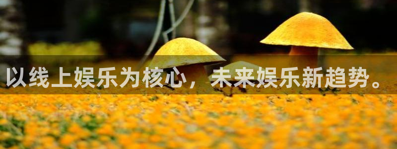 壹号top娱乐：以线上娱乐为核心，未来娱乐新趋势。