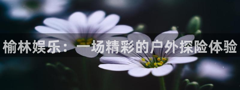 BB贝博艾弗森路线1：榆林娱乐：一场精彩的户外探险体验