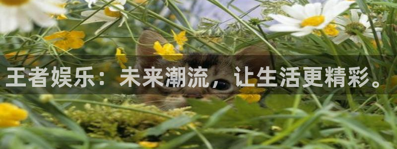 BB贝博艾弗森平台app下载：王者娱乐：未来潮流，让生活更精彩。