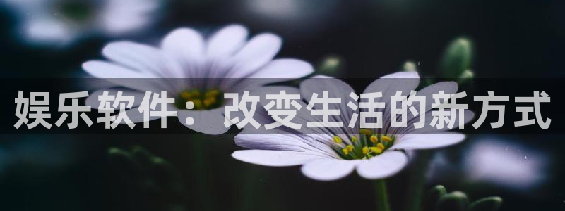 bb贝博艾弗森注册：娱乐软件：改变生活的新方式