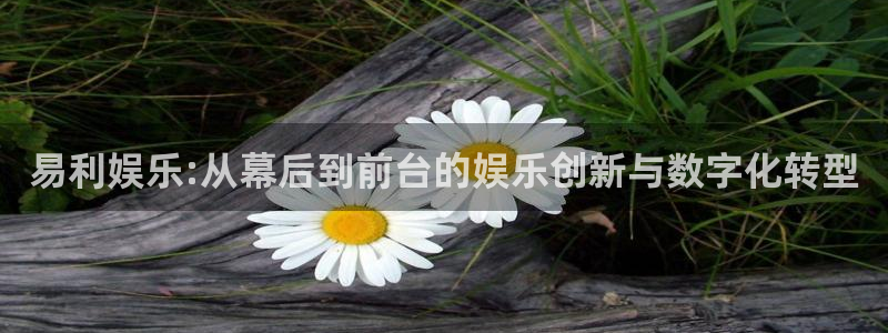BB贝博艾弗森app下载地址：易利娱乐:从幕后到前台的娱乐创新与数字化转型