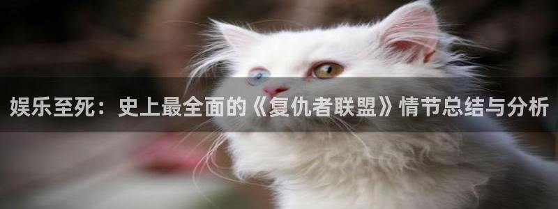 伟德国际集团 壹号(one game)