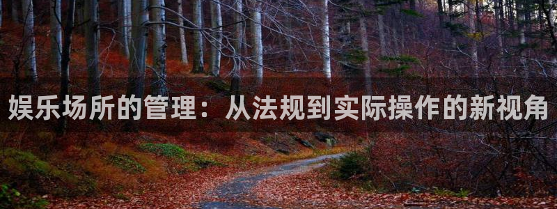 BB贝博艾弗森游戏试玩：娱乐场所的管理：从法规到实际操作的新视角