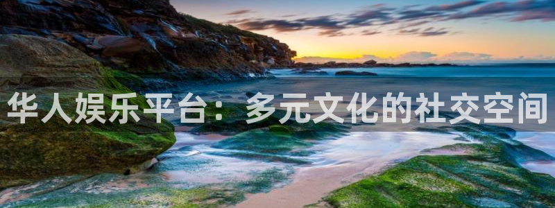 BB贝博艾弗森app最新版怎么下载苹果：华人娱乐平台：多元文化的社交空间