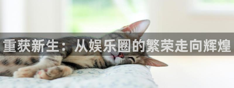 BB贝博艾弗森平台最新版本下载：重获新生：从娱乐圈的繁荣走向辉煌