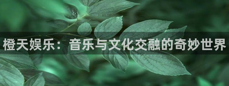 bbt贝博·(bellbet)艾弗森官网：橙天娱乐：音乐与文化交融的奇妙世界