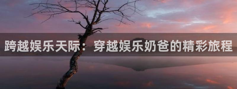BB贝博艾弗森登录：跨越娱乐天际：穿越娱乐奶爸的精彩旅程