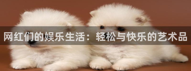 BB贝博艾弗森注册网站app：网红们的娱乐生活：轻松与快乐的艺术品