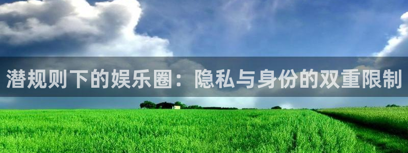 壹号电子娱乐app下载最新版本：潜规则下的娱乐圈：隐私与身份的双重限制