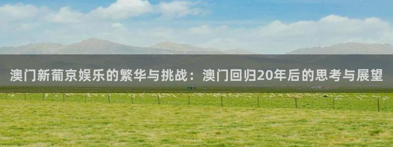 壹号大舞台：澳门新葡京娱乐的繁华与挑战：澳门回归20年后的思考与展望