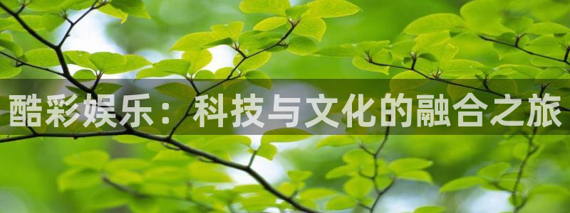BB贝博艾弗森那个爆率高：酷彩娱乐：科技与文化的融合之旅