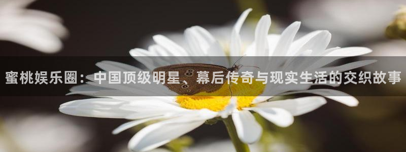 BB贝博艾弗森电子游戏官网：蜜桃娱乐圈：中国顶级明星、幕后传奇与现实生活的交织故事