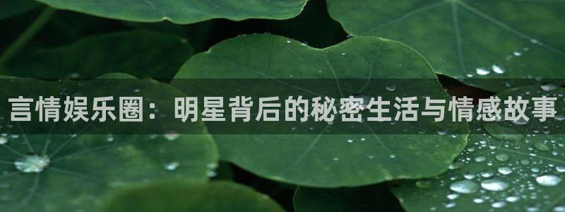 BB贝博艾弗森账号注册入口：言情娱乐圈：明星背后的秘密生活与情感故事